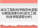 武汉工程科技学院历年录取分数线深度分析(武汉工程科技学院录取分析)