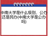 中南大学是什么级别，公办还是民办(中南大学是公办吗)