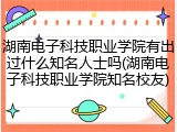 湖南电子科技职业学院有出过什么知名人士吗(湖南电子科技职业学院知名校友)