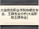 大连商务职业学院有哪些专业，王牌专业分析(大连职院王牌专业)