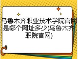 乌鲁木齐职业技术学院官网是哪个网址多少(乌鲁木齐职院官网)
