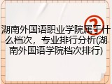 湖南外国语职业学院属于什么档次，专业排行分析(湖南外国语学院档次排行)