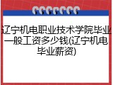 辽宁机电职业技术学院毕业一般工资多少钱(辽宁机电毕业薪资)