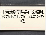 上海戏剧学院是什么级别，公办还是民办(上戏是公办吗)