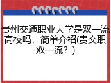 贵州交通职业大学是双一流高校吗，简单介绍(贵交职双一流？)
