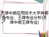 天津中德应用技术大学有哪些专业，王牌专业分析(天津中德王牌专业)
