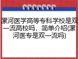 漯河医学高等专科学校是双一流高校吗，简单介绍(漯河医专是双一流吗)