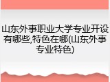 山东外事职业大学专业开设有哪些,特色在哪(山东外事专业特色)