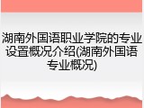 湖南外国语职业学院的专业设置概况介绍(湖南外国语专业概况)