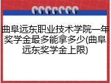 曲阜远东职业技术学院一年奖学金最多能拿多少(曲阜远东奖学金上限)