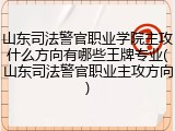 山东司法警官职业学院主攻什么方向有哪些王牌专业(山东司法警官职业主攻方向)
