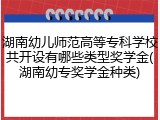 湖南幼儿师范高等专科学校共开设有哪些类型奖学金(湖南幼专奖学金种类)