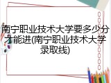南宁职业技术大学要多少分才能进(南宁职业技术大学录取线)