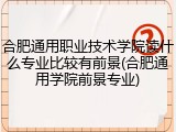 合肥通用职业技术学院读什么专业比较有前景(合肥通用学院前景专业)