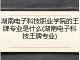 湖南电子科技职业学院的王牌专业是什么(湖南电子科技王牌专业)