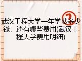武汉工程大学一年学费多少钱，还有哪些费用(武汉工程大学费用明细)