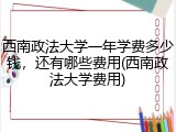西南政法大学一年学费多少钱，还有哪些费用(西南政法大学费用)