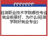 硅湖职业技术学院哪些专业就业前景好，为什么(硅湖学院好就业专业)
