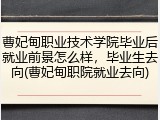 曹妃甸职业技术学院毕业后就业前景怎么样，毕业生去向(曹妃甸职院就业去向)