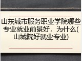 山东城市服务职业学院哪些专业就业前景好，为什么(山城院好就业专业)