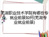芜湖职业技术学院有哪些专业，就业前景如何(芜湖专业就业前景)