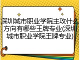 深圳城市职业学院主攻什么方向有哪些王牌专业(深圳城市职业学院王牌专业)