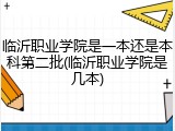 临沂职业学院是一本还是本科第二批(临沂职业学院是几本)