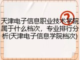 天津电子信息职业技术学院属于什么档次，专业排行分析(天津电子信息学院档次)