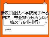 武汉职业技术学院属于什么档次，专业排行分析(武职档次与专业排行)