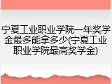 宁夏工业职业学院一年奖学金最多能拿多少(宁夏工业职业学院最高奖学金)