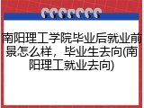 南阳理工学院毕业后就业前景怎么样，毕业生去向(南阳理工就业去向)