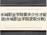 永城职业学院要多少分才能进(永城职业学院录取分数)
