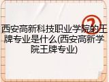 西安高新科技职业学院的王牌专业是什么(西安高新学院王牌专业)