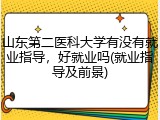 山东第二医科大学有没有就业指导，好就业吗(就业指导及前景)