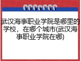 武汉海事职业学院是哪里的学校，在哪个城市(武汉海事职业学院在哪)
