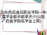 山东药品食品职业学院一年奖学金最多能拿多少(山东药食学院奖学金上限)