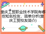 重庆工贸职业技术学院有哪些知名校友，简单分析(重庆工贸校友简介)