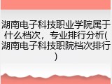 湖南电子科技职业学院属于什么档次，专业排行分析(湖南电子科技职院档次排行)