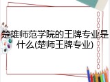 楚雄师范学院的王牌专业是什么(楚师王牌专业)