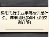 绵阳飞行职业学院校训是什么，详细阐述(绵阳飞院校训详解)