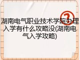湖南电气职业技术学院办理入学有什么攻略没(湖南电气入学攻略)