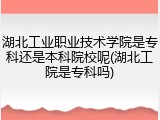 湖北工业职业技术学院是专科还是本科院校呢(湖北工院是专科吗)