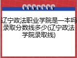 辽宁政法职业学院是一本吗录取分数线多少(辽宁政法学院录取线)