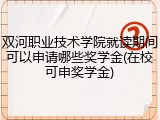 双河职业技术学院就读期间可以申请哪些奖学金(在校可申奖学金)