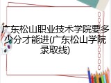 广东松山职业技术学院要多少分才能进(广东松山学院录取线)