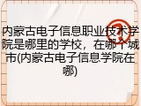 内蒙古电子信息职业技术学院是哪里的学校，在哪个城市(内蒙古电子信息学院在哪)
