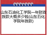 山东石油化工学院一年财政拨款大概多少钱(山东石化学院年拨款)