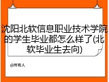沈阳北软信息职业技术学院的学生毕业都怎么样了(北软毕业生去向)
