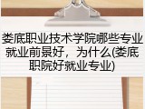 娄底职业技术学院哪些专业就业前景好，为什么(娄底职院好就业专业)
