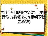 昆明卫生职业学院是一本吗录取分数线多少(昆明卫院录取线)